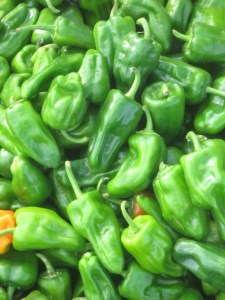 Fresh Peppers on roadside stand in Nicaragua