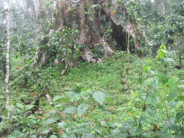 FEV Blue Trail photo