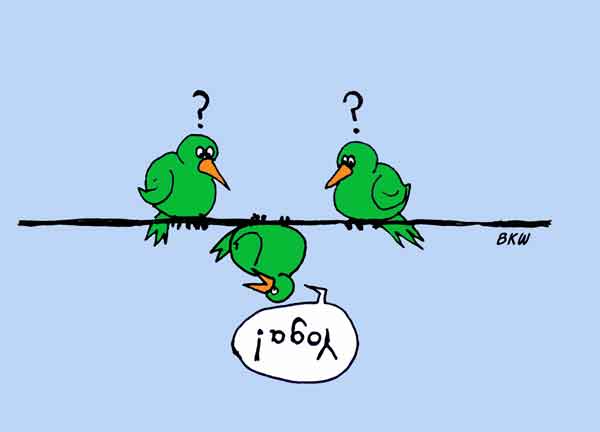 bird yoga cartoon
